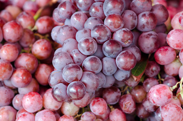 Red grape background