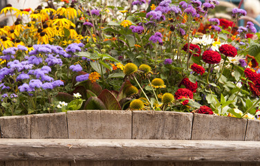 Bilder und Videos suchen: blumenwagen