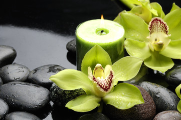 Green orchid and candle on black stones