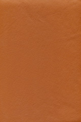 Fototapeta premium Leather texture