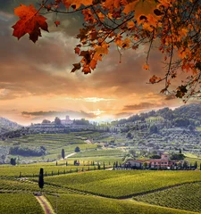 Foto op Canvas Vine landscape in Chianti, Italy © Tomas Marek