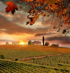Rolgordijnen Vine landscape in Chianti, Italy © Tomas Marek