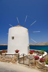 Greek traditional white washed windmill landscape - obrazy, fototapety, plakaty
