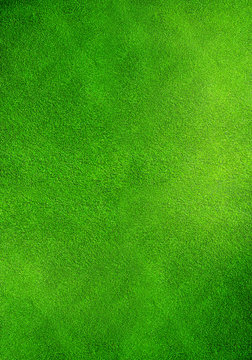 Grass Texture