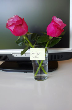 Sorry-Notiz mit zwei rosa Rosen