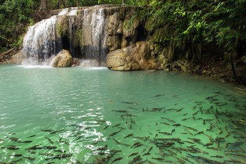 Fototapeta na wymiar Waterfall and fishes