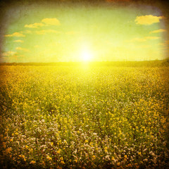 Fototapety  Grunge obraz pola lato o zachodzie słońca.