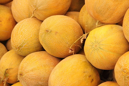 Honigmelonen auf dem Wochenmarkt