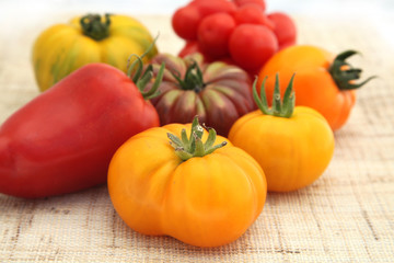 Fototapeta na wymiar tomates variétés anciennes