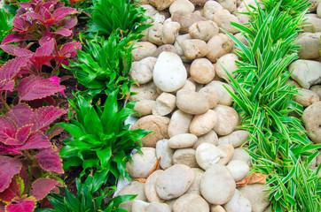stone and grass in the garden