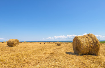 Farm field with hay bales © Petrov Vadim
