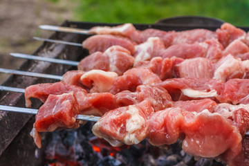 Shish Kebab In Process Of Cooking On Open Fire Outdoors