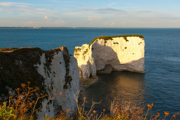 Old Harry Rocks Dorset
