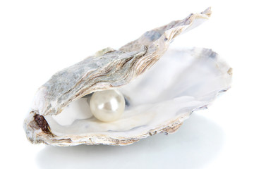 Open oyster with pearl isolated on white - obrazy, fototapety, plakaty