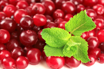 Ripe red cranberries, close up.