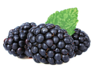 Sweet blackberries isolate on white