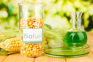 Conceptual photo of bio fuel.  On bright background - obrazy, fototapety, plakaty