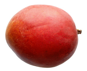 Obraz premium Mango Isolated on White