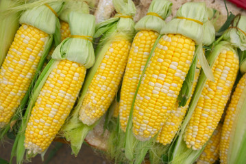 sweet corn