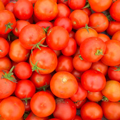 tomatoes