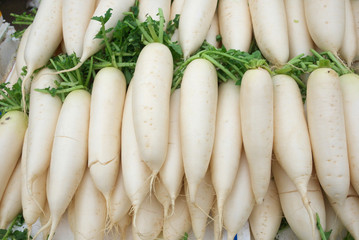 fresh radishes © chanwangrong