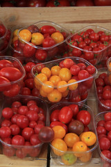 Small tomatoes at a market