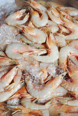 fresh shrimps