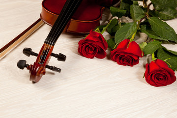 Fototapeta premium Red roses and a violin