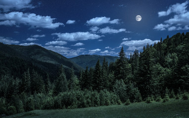 night over carpathian mountains