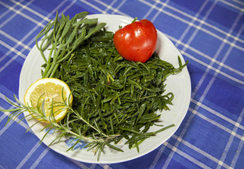 Motar, Mediterranean Sea fennel salad