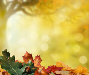autumn