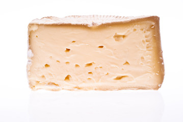 Soft cheese isolated