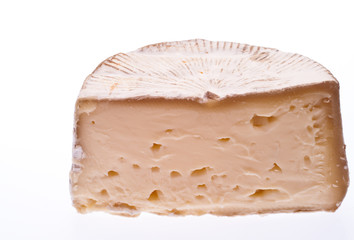 Soft cheese isolated