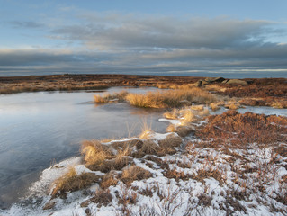 moorland peat bog in winter