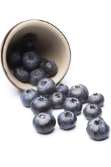 Blueberry.