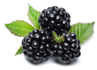 Blackberries