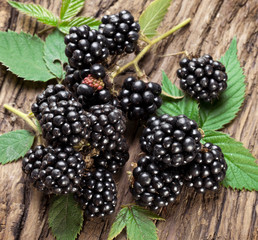 Blackberries