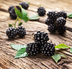 Blackberries