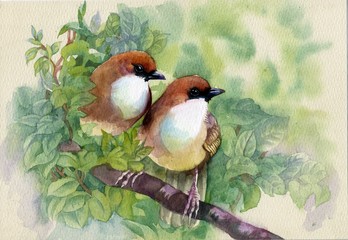 Painting collection Birds of spring