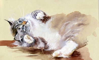 Watercolor Animal Collection: Cat - 55581447