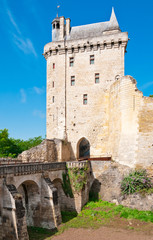 Obraz premium Chinon chateau, France
