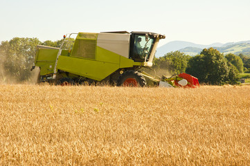 combine harvesting wheat
