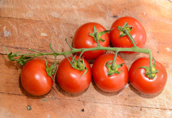 tomatoes