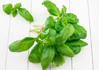 Obraz premium Fresh basil leaves on white background