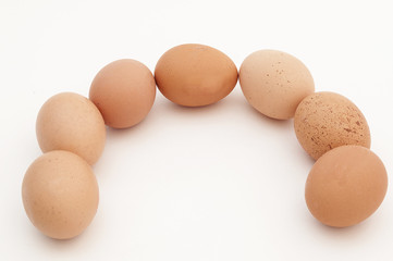 eggs