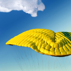 parachute in the sky - 55583094