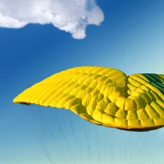 Tuinposter parachute in the sky © Andrii Muzyka