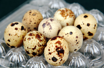 quail eggs in a plastic bag.