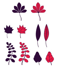 Obraz premium Set of autumn leaves