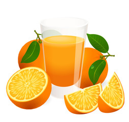Fresh orange juice. Vector.